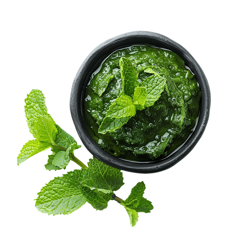 Mint Chutney